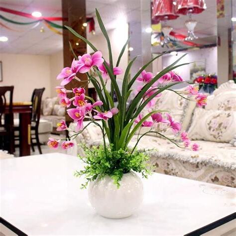 家裡不能放 的花